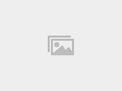 Supplementary Activities